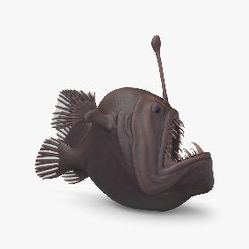 Anglerfish 3D model